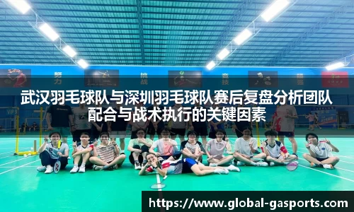 武汉羽毛球队与深圳羽毛球队赛后复盘分析团队配合与战术执行的关键因素